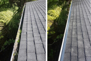 before and after gutter cleaning - Spray and wash solutions